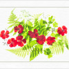 lsf image 10 geranium and fern