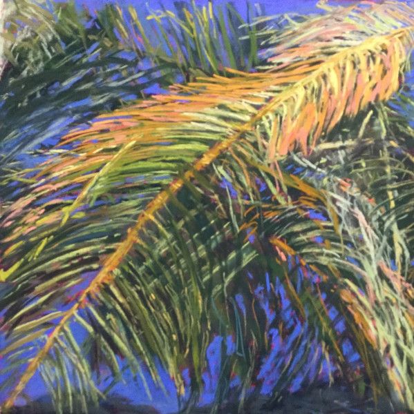 image5 image5