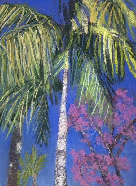 freedman e pasadena palm freedman e pasadena palm