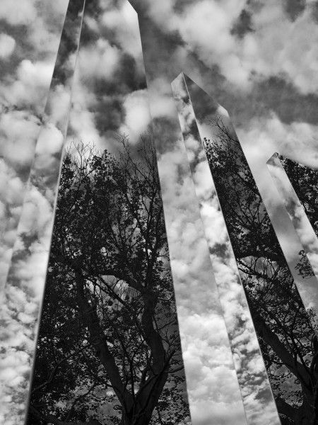 Myrna  Walsh The Day The Trees Are Gone Myrna  Walsh The Day The Trees Are Gone
