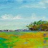 marsh colors