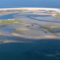 1 capeseashore