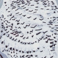 snowy owl