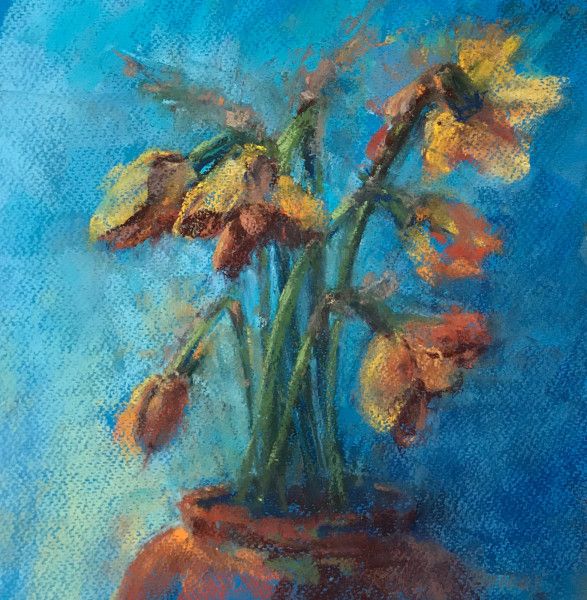 rossettibailey firstblssmsapril.jpg  rossettibailey firstblssmsapril.jpg