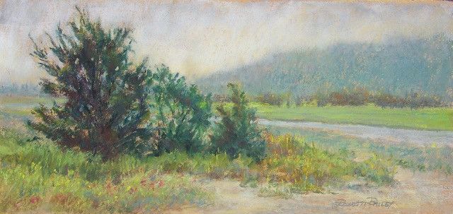 rossettibailey foggycedars rossettibailey foggycedars