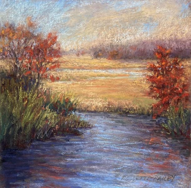 rossettibailey marshview rossettibailey marshview