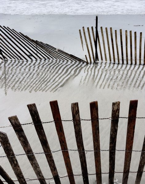 barbara canney   stormy fences barbara canney   stormy fences