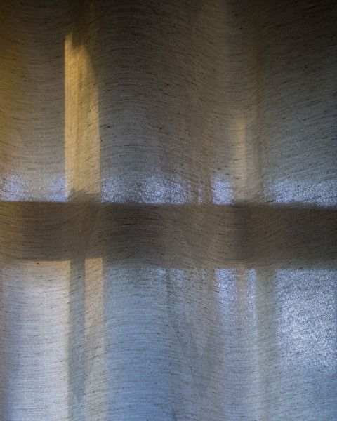morning reflections camille neville morning reflections camille neville