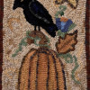 homola  crow and pumpkin