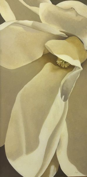 magnolia blossom magnolia blossom