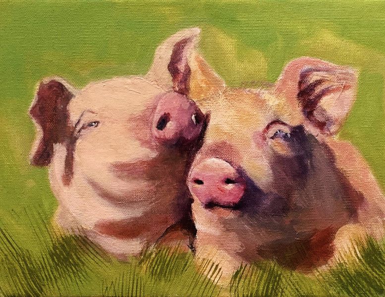 cuddling pigs cuddling pigs