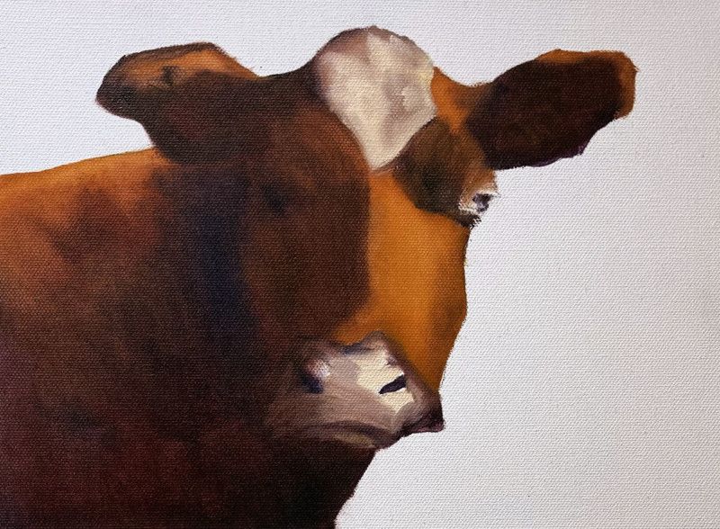 hornstra farm red holstein hornstra farm red holstein