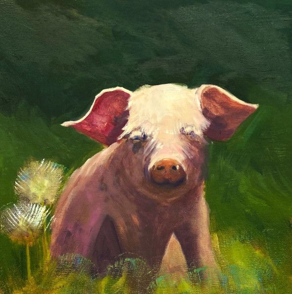 pig face pig face