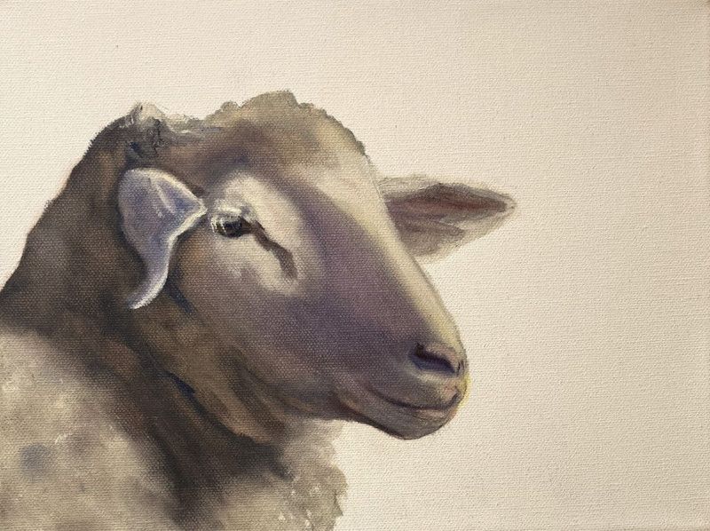 sheepish sheepish