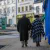 their daily dander  westport  co. mayo