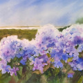 hydrangeas by the sea
