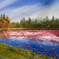 ricker s bog