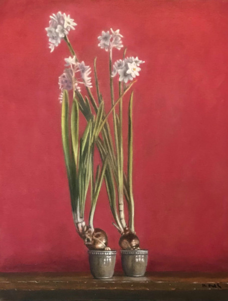 buckley kerry w paperwhites  oil on canvas  x20   buckley kerry w paperwhites  oil on canvas  x20