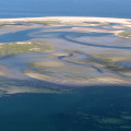 1 capeseashore