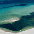 8 hiddenshoals