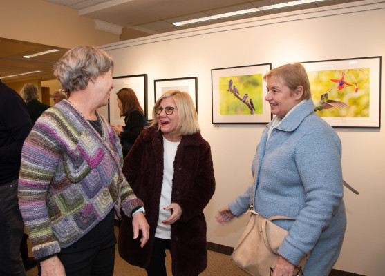 dsc terri nickerson sm dsc terri nickerson sm