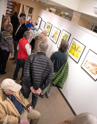 dsc overview sm dsc overview sm