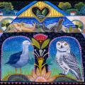 animal dreams