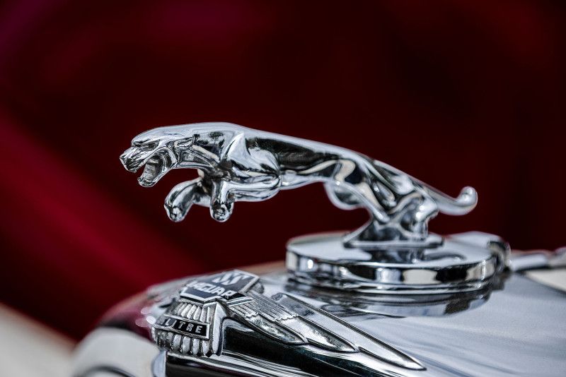 edson jaguar    edson jaguar