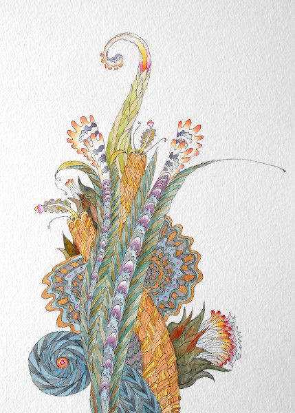 t andrade home grown t andrade home grown