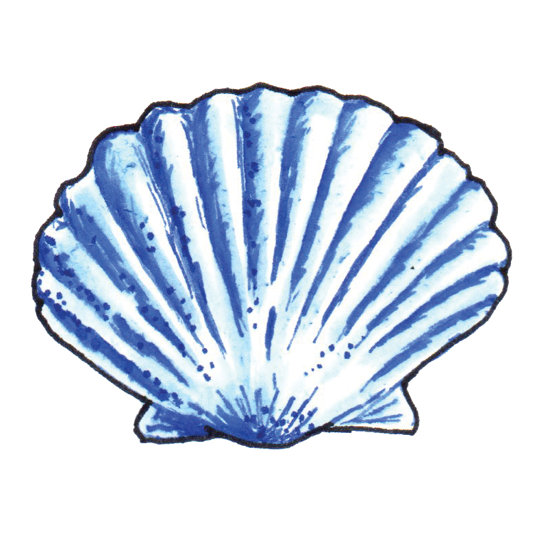 New Shell Logo
